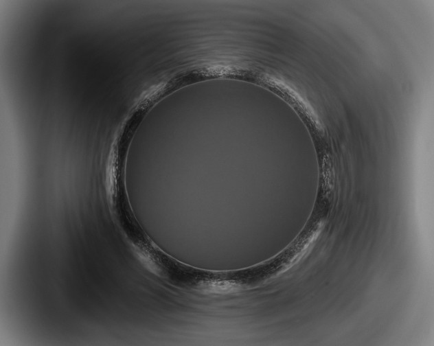 X0000087700590200705111404