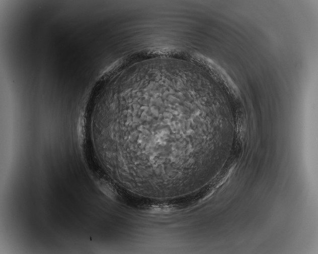 X0000087700591200705111404