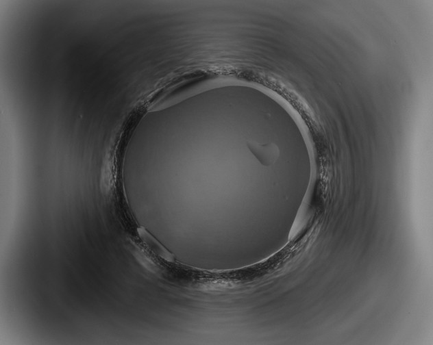 X0000087700593200705111404