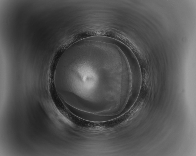 X0000087700594200705111404