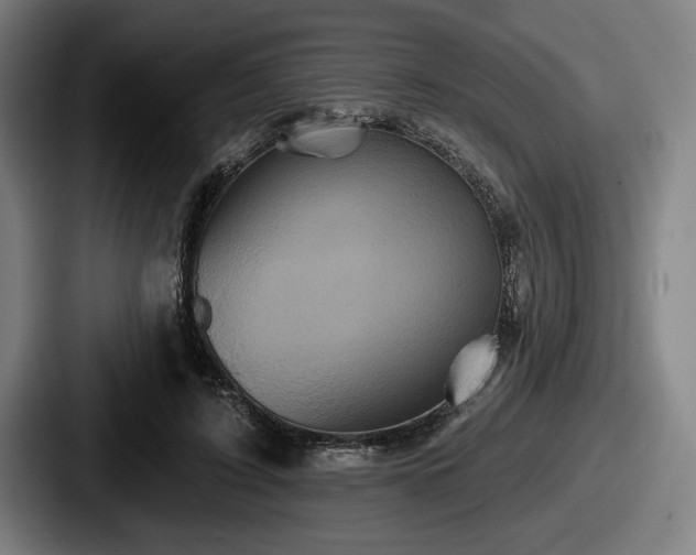 X0000087700595200705111404