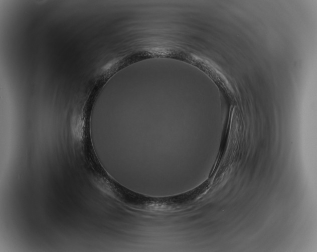 X0000087700596200705111404