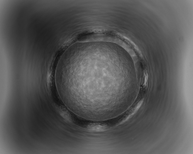 X0000087700597200705111404