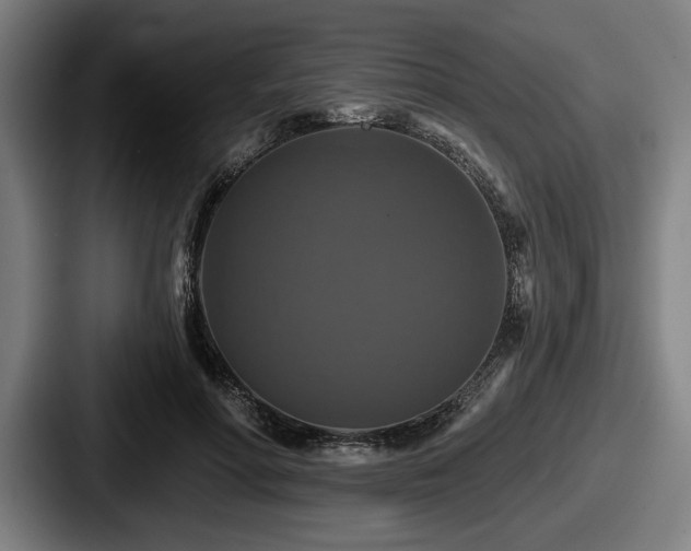 X0000087700598200705111404