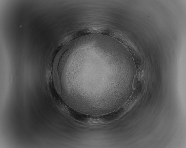 X0000087700599200705111404