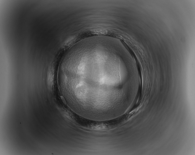 X0000087700600200705111404