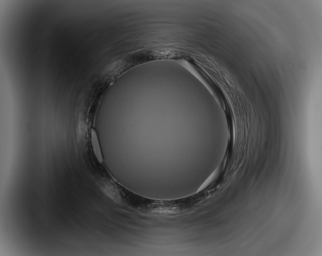 X0000087700601200705111404