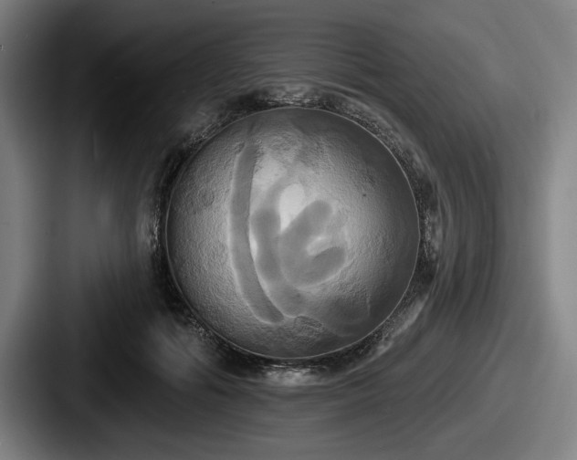 X0000087700602200705111404