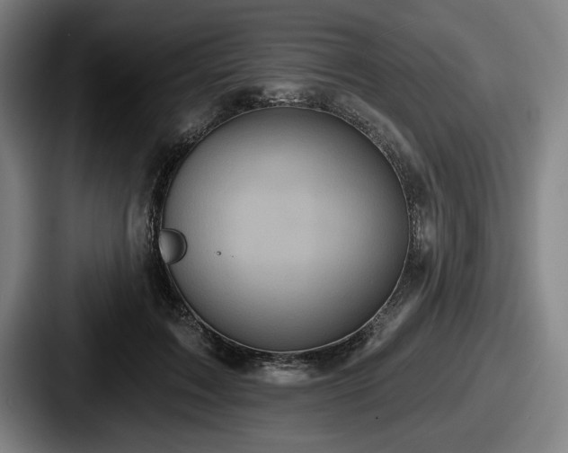 X0000087700603200705111404