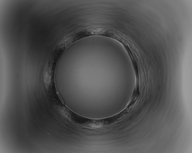 X0000087700604200705111404