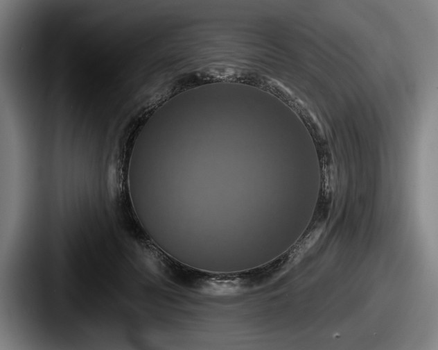 X0000087700606200705111404