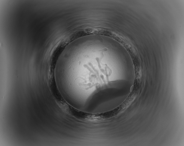 X0000087700607200705111404