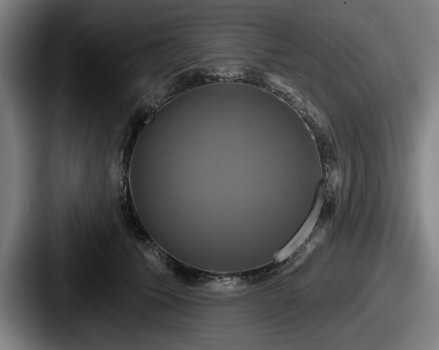 X0000087700609200705111404