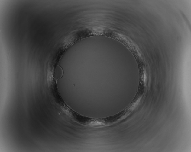 X0000087700610200705111404