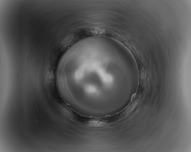 X0000087700614200705111404