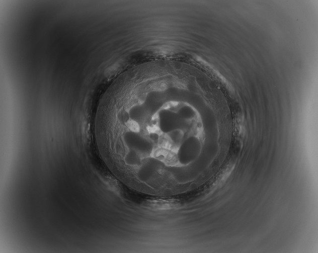 X0000087700615200705111404