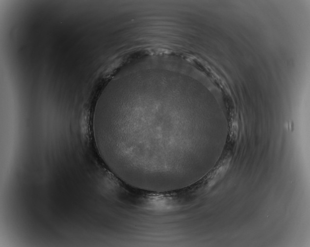 X0000087700616200705111404