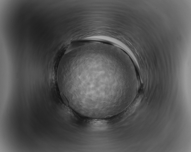 X0000087700617200705111404