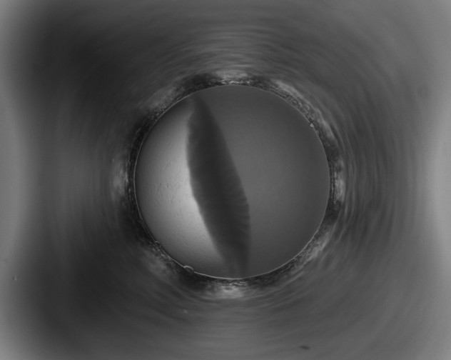 X0000087700618200705111404