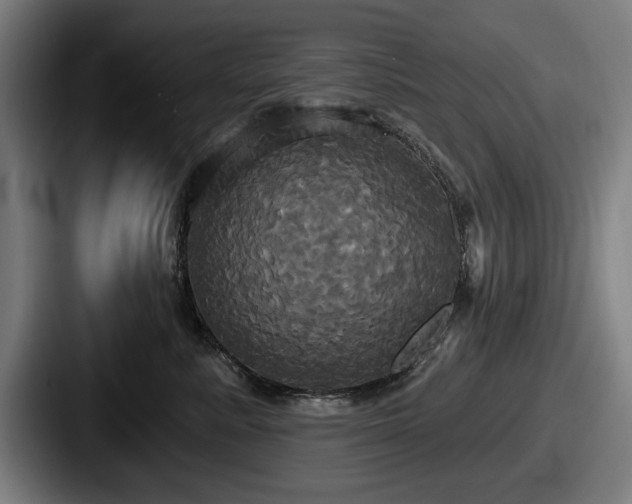 X0000087700619200705111404