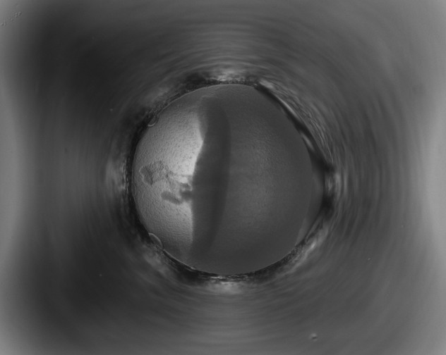 X0000087700620200705111404