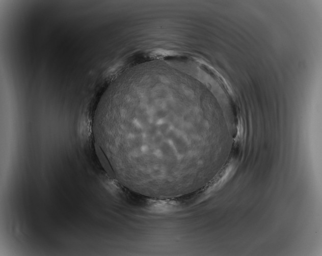 X0000087700621200705111404