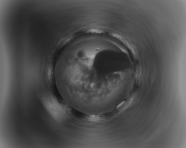 X0000087700623200705111404