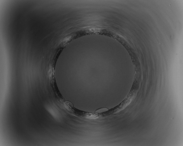 X0000087700624200705111404