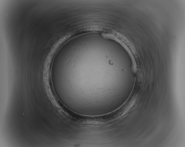 X0000087700625200705111403