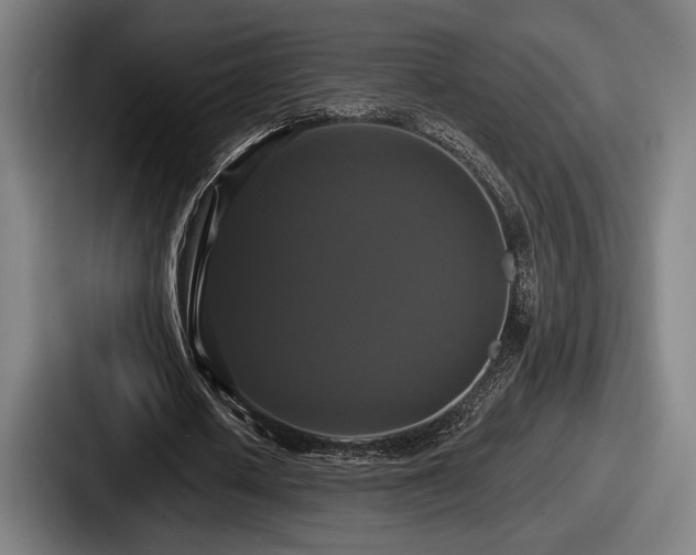 X0000087700626200705111403