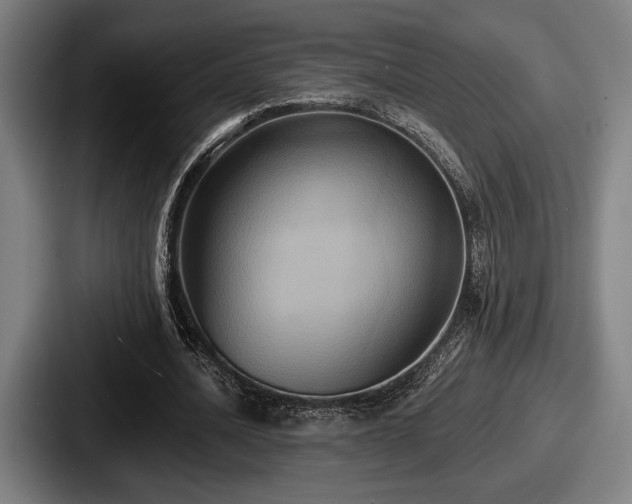 X0000087700628200705111403