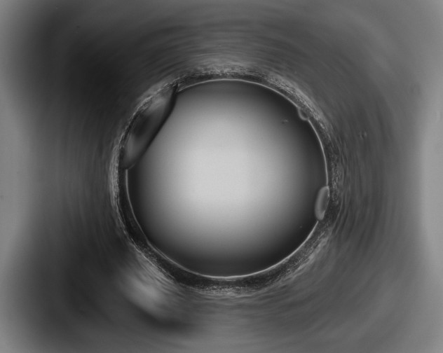 X0000087700629200705111403