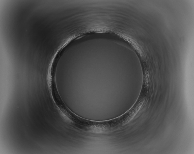 X0000087700630200705111403