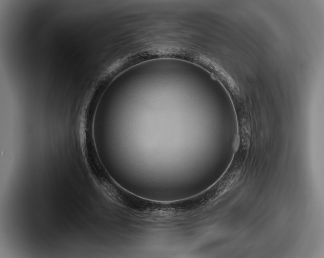 X0000087700631200705111403