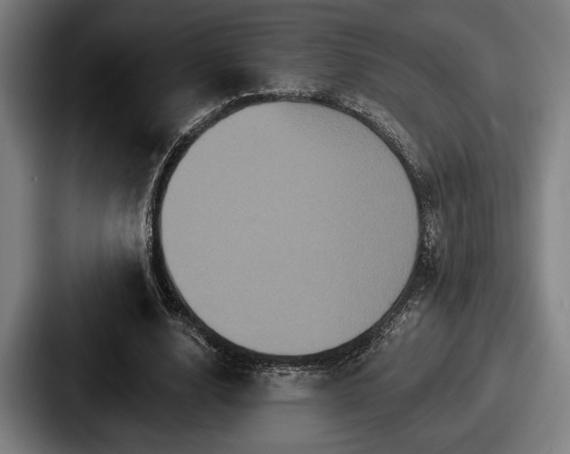 X0000087700632200705111403