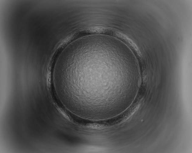 X0000087700633200705111404