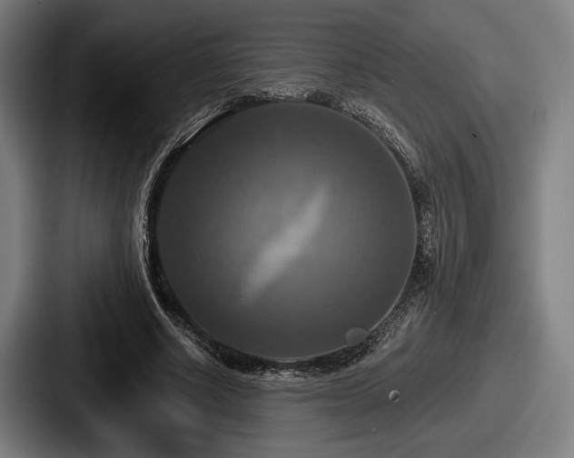 X0000087700634200705111404