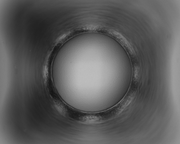 X0000087700636200705111404