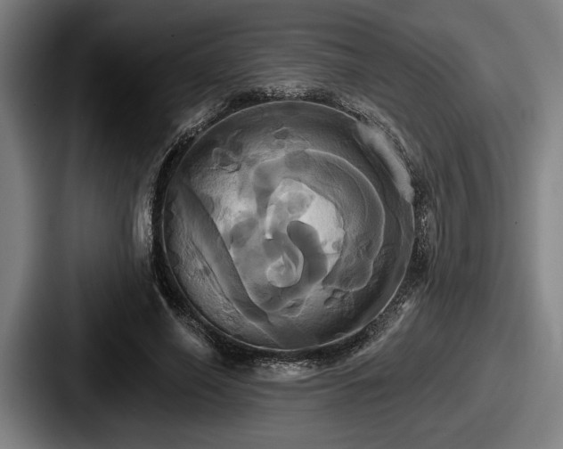 X0000087700638200705111404