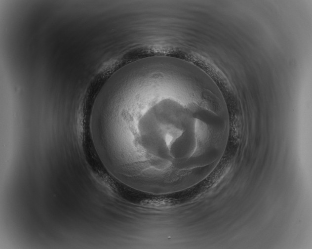 X0000087700639200705111404