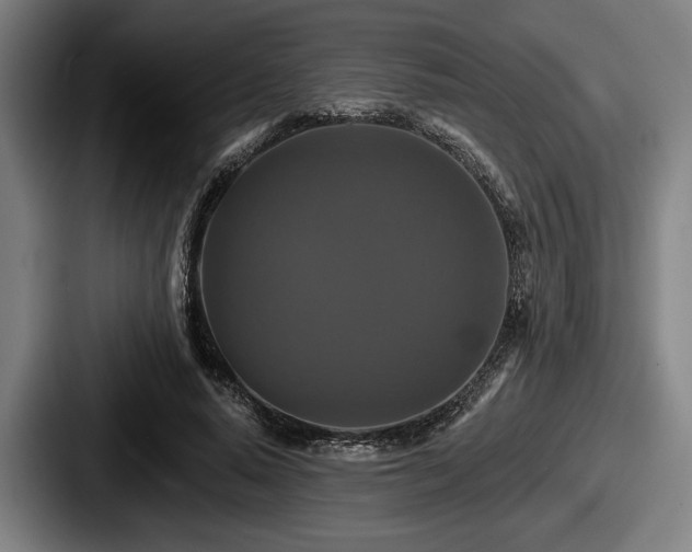 X0000087700640200705111404