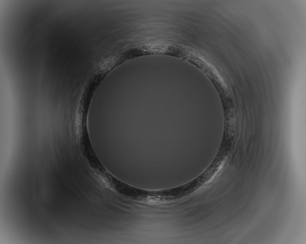 X0000087700641200705111404