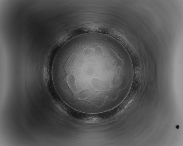 X0000087700642200705111404