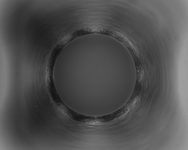 X0000087700643200705111404