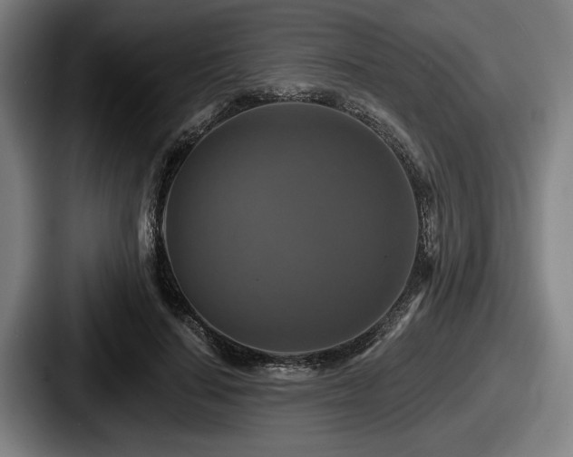 X0000087700644200705111404