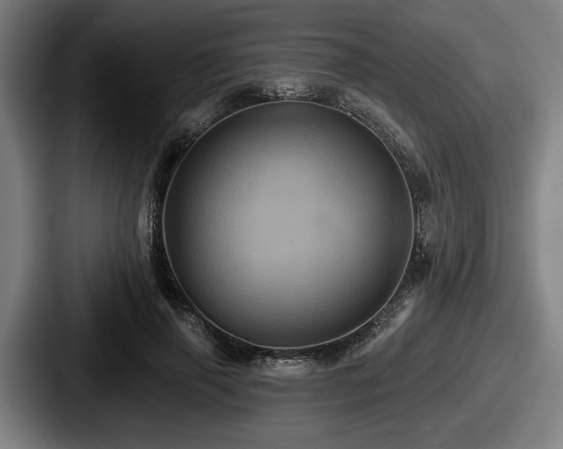 X0000087700645200705111404