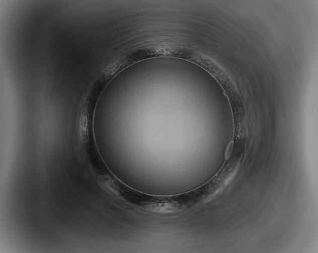 X0000087700646200705111404