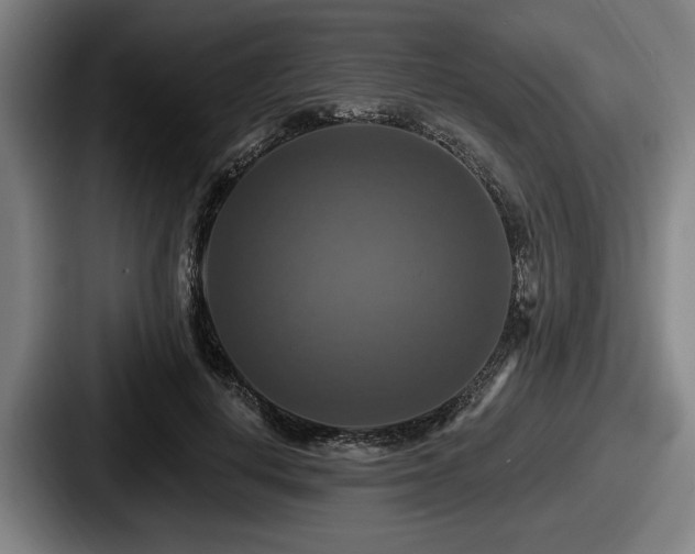 X0000087700648200705111404