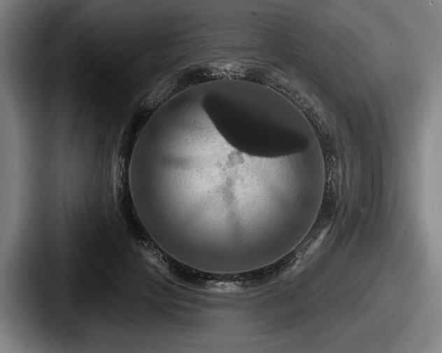 X0000087700649200705111404