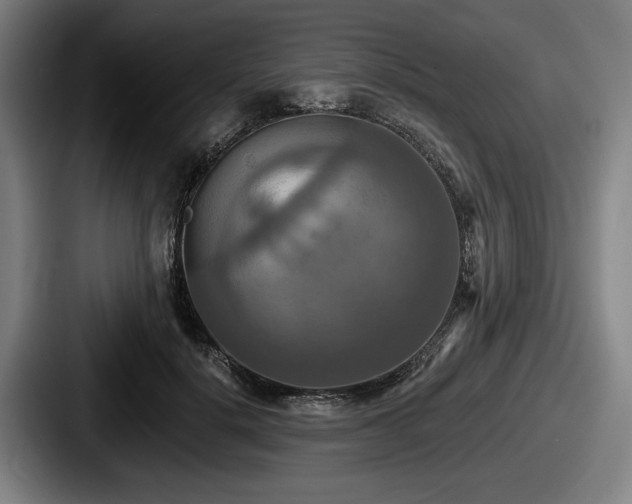 X0000087700652200705111404